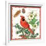 Holiday Birds II-Julie Paton-Framed Art Print