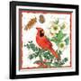 Holiday Birds II-Julie Paton-Framed Art Print