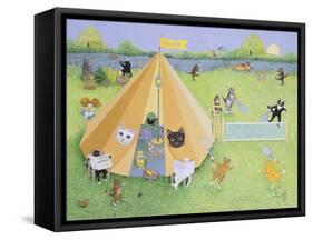Holiday Camp-Pat Scott-Framed Stretched Canvas