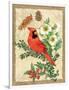 Holiday Cardinal-Julie Paton-Framed Art Print