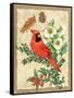 Holiday Cardinal-Julie Paton-Framed Stretched Canvas