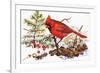 Holiday Christmas Cardinal, Beatrice Litzinger Collection-null-Framed Premium Giclee Print