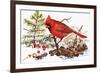 Holiday Christmas Cardinal, Beatrice Litzinger Collection-null-Framed Premium Giclee Print