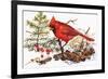 Holiday Christmas Cardinal, Beatrice Litzinger Collection-null-Framed Premium Giclee Print