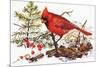 Holiday Christmas Cardinal, Beatrice Litzinger Collection-null-Mounted Premium Giclee Print