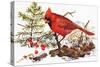 Holiday Christmas Cardinal, Beatrice Litzinger Collection-null-Stretched Canvas