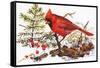 Holiday Christmas Cardinal, Beatrice Litzinger Collection-null-Framed Stretched Canvas