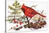 Holiday Christmas Cardinal, Beatrice Litzinger Collection-null-Stretched Canvas