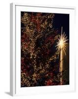 Holiday Decorations at Westlake Center, Seattle, Washington, USA-Jamie & Judy Wild-Framed Premium Photographic Print