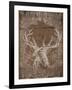 Holiday Deer-SD Graphics Studio-Framed Art Print