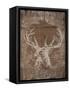 Holiday Deer-SD Graphics Studio-Framed Stretched Canvas