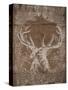 Holiday Deer-SD Graphics Studio-Stretched Canvas