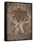 Holiday Deer-SD Graphics Studio-Framed Stretched Canvas