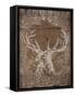 Holiday Deer-SD Graphics Studio-Framed Stretched Canvas