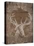 Holiday Deer-SD Graphics Studio-Stretched Canvas