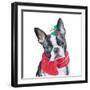 Holiday Dog II-Patricia Pinto-Framed Art Print