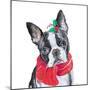 Holiday Dog II-Patricia Pinto-Mounted Art Print