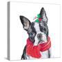 Holiday Dog II-Patricia Pinto-Stretched Canvas