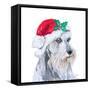 Holiday Dog IV-Patricia Pinto-Framed Stretched Canvas