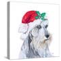 Holiday Dog IV-Patricia Pinto-Stretched Canvas