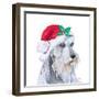 Holiday Dog IV-Patricia Pinto-Framed Art Print