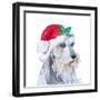 Holiday Dog IV-Patricia Pinto-Framed Art Print