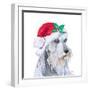 Holiday Dog IV-Patricia Pinto-Framed Art Print