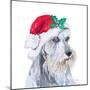 Holiday Dog IV-Patricia Pinto-Mounted Art Print