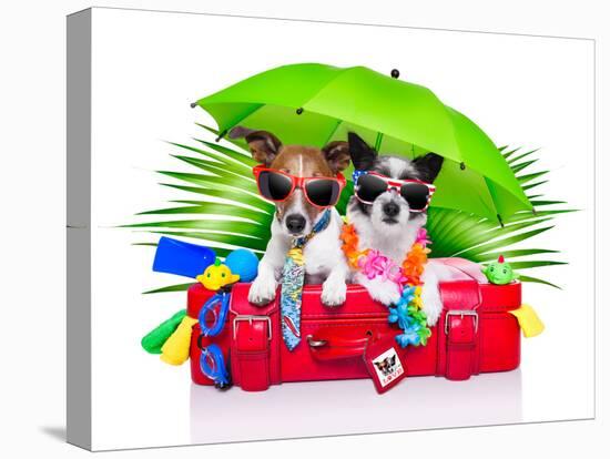 Holiday Dogs-Javier Brosch-Stretched Canvas