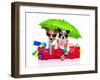 Holiday Dogs-Javier Brosch-Framed Photographic Print