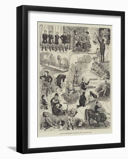 Holiday Entertainments, Our Artist's Notes at Hengler's Circus-Alfred Courbould-Framed Giclee Print