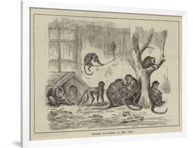 Holiday Favourites at the Zoo-null-Framed Giclee Print