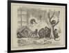 Holiday Favourites at the Zoo-null-Framed Giclee Print