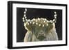 Holiday Highlander BW-James Wiens-Framed Art Print