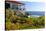 Holiday Home with Garden and Swimming Pool above the Sea, Jardim do Mar, Madeira Island, Portugal-null-Stretched Canvas