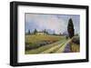 Holiday in Tuscany-Carolyne Hawley-Framed Art Print