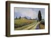 Holiday in Tuscany-Carolyne Hawley-Framed Art Print