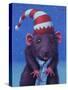 Holiday Mouse-James W. Johnson-Stretched Canvas