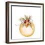 Holiday Ornament I-Janice Gaynor-Framed Art Print