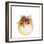 Holiday Ornament II-Janice Gaynor-Framed Photographic Print