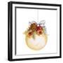 Holiday Ornament II-Janice Gaynor-Framed Photographic Print