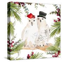 Holiday Owls-Lanie Loreth-Stretched Canvas