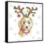 Holiday Paws VI-Beth Grove-Framed Stretched Canvas