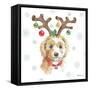 Holiday Paws VI-Beth Grove-Framed Stretched Canvas