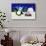 Holiday Penguin-Betz White-Art Print displayed on a wall