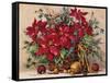 Holiday Poinsettia Basket-Barbara Mock-Framed Stretched Canvas