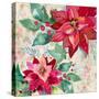 Holiday Poinsettia II-Patricia Pinto-Stretched Canvas