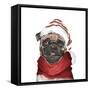 Holiday Pug-Elizabeth Medley-Framed Stretched Canvas