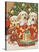 Holiday Puppies-William Vanderdasson-Stretched Canvas