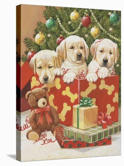 Holiday Puppies-William Vanderdasson-Stretched Canvas